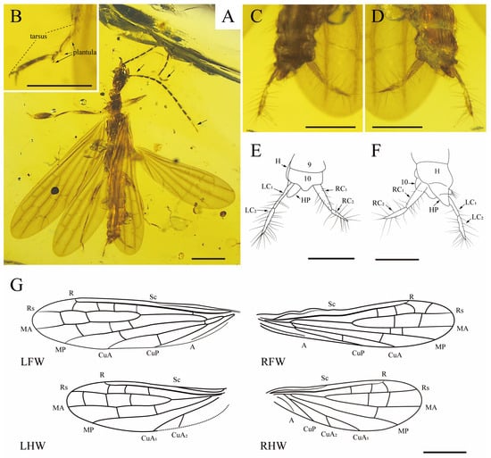 Insects 15 00636 g001