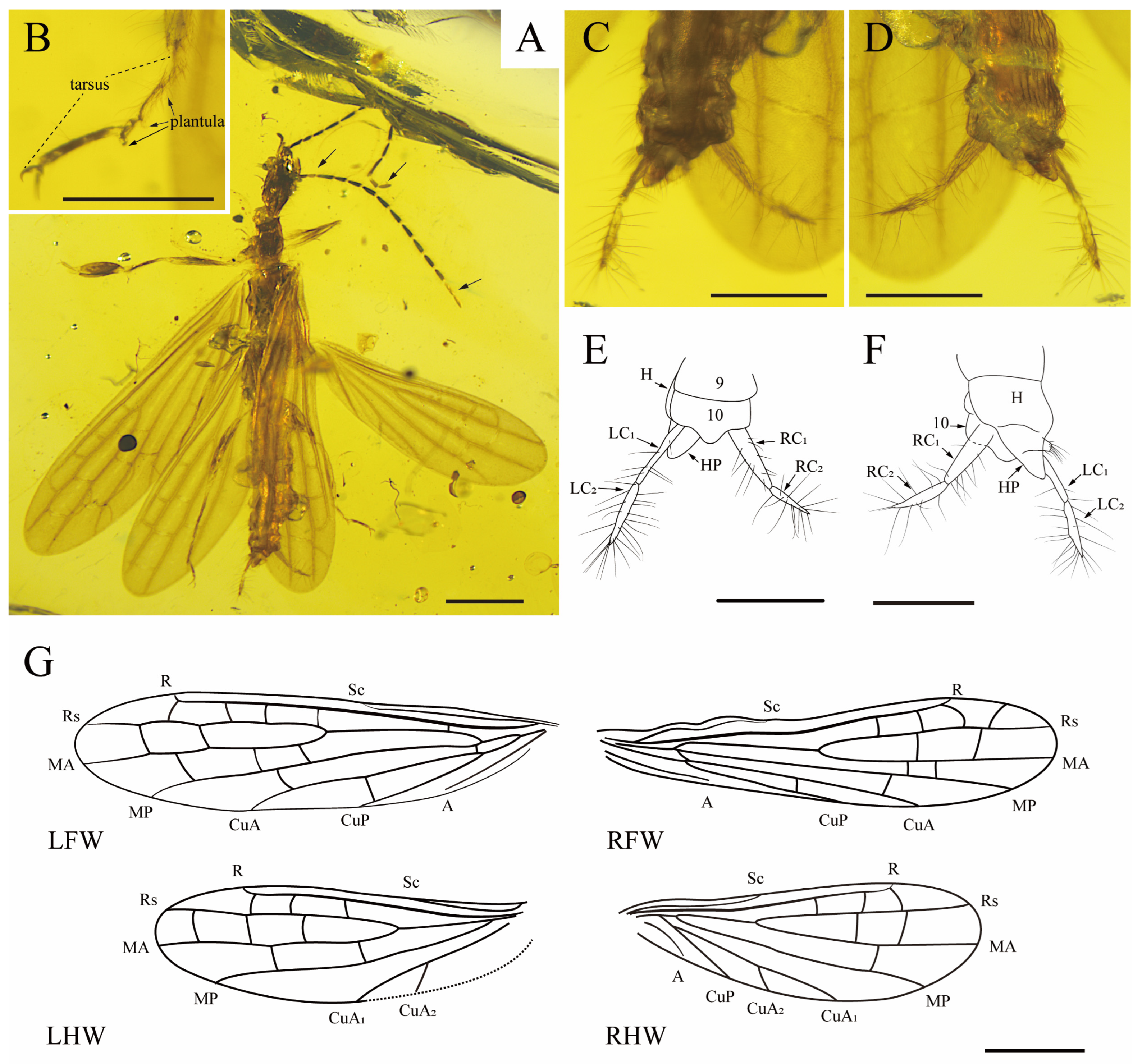 Insects 15 00636 g001