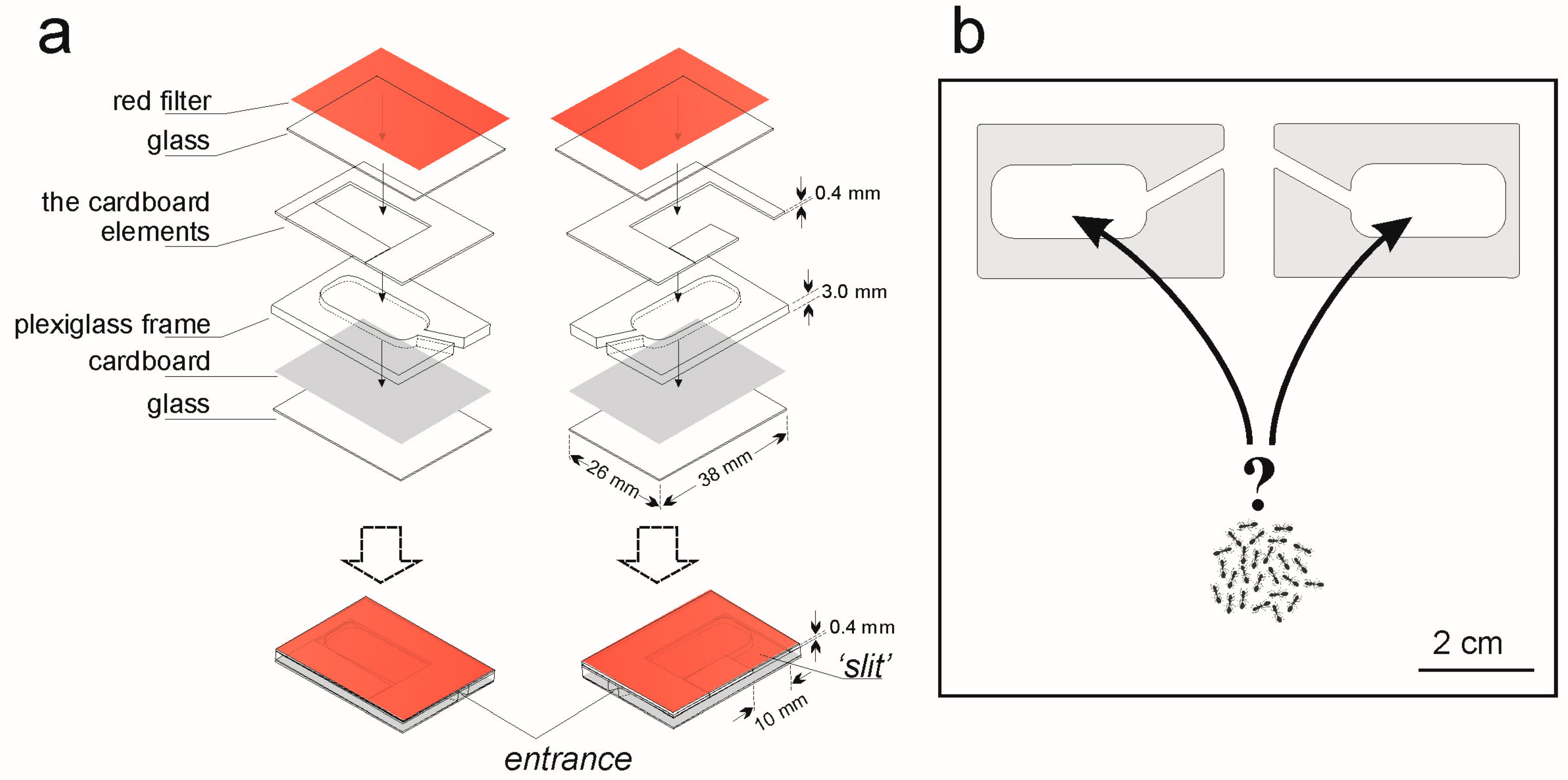 Insects 15 00638 g001