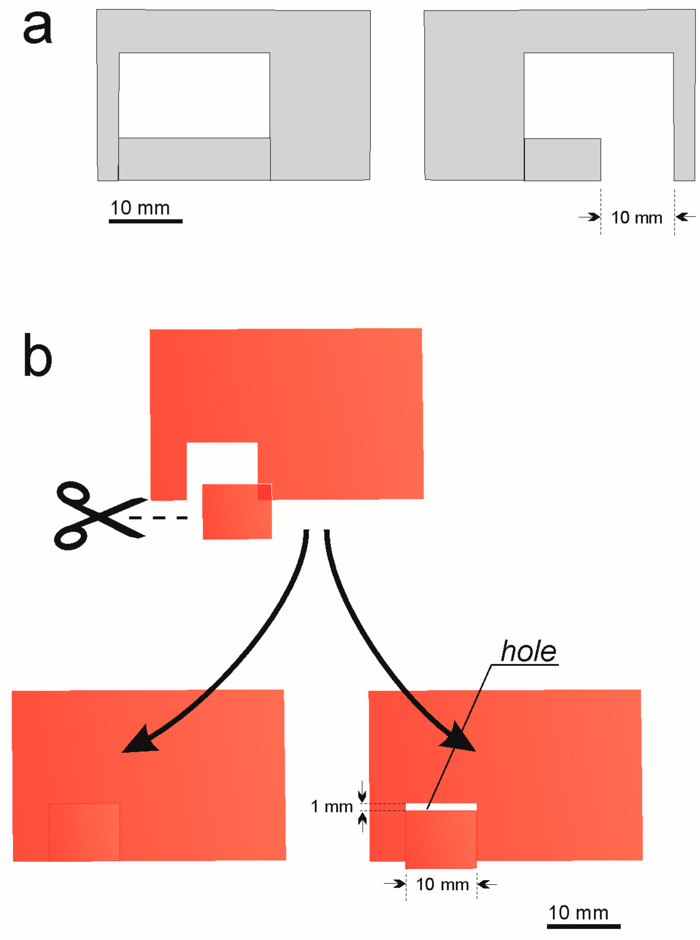 Insects 15 00638 g002