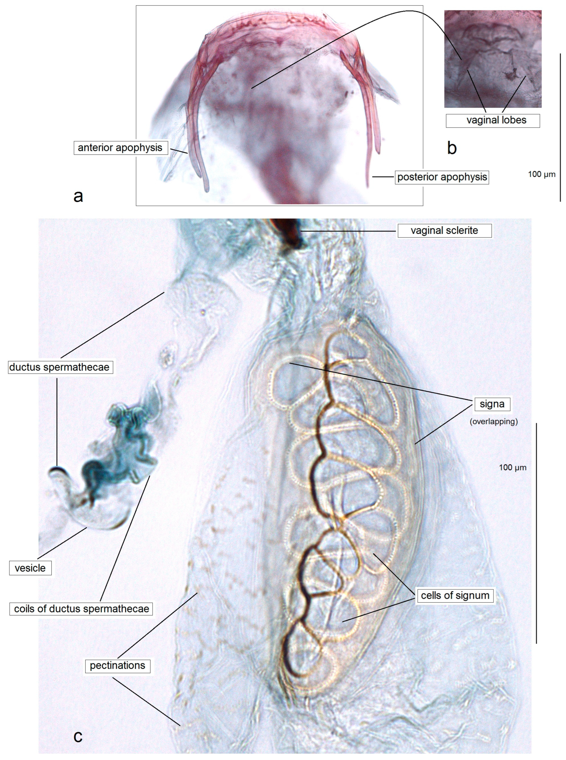 Insects 15 00641 g006