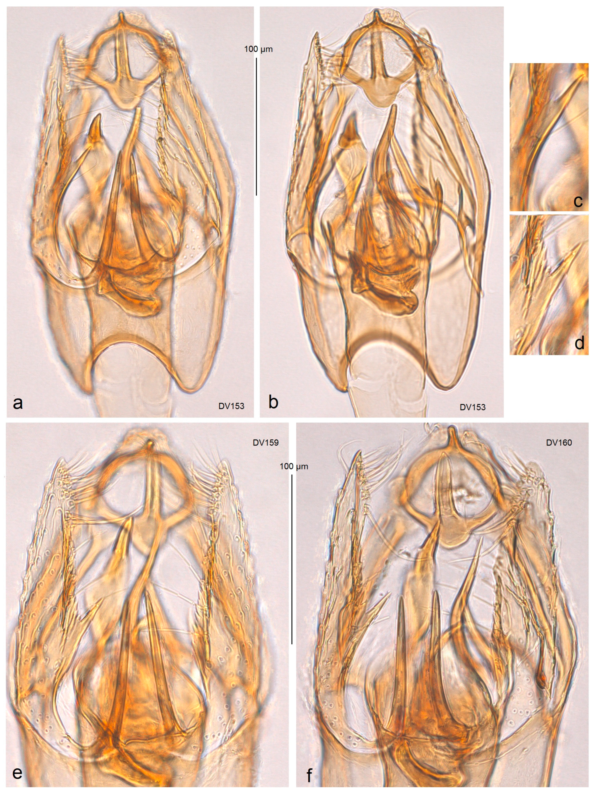 Insects 15 00641 g012