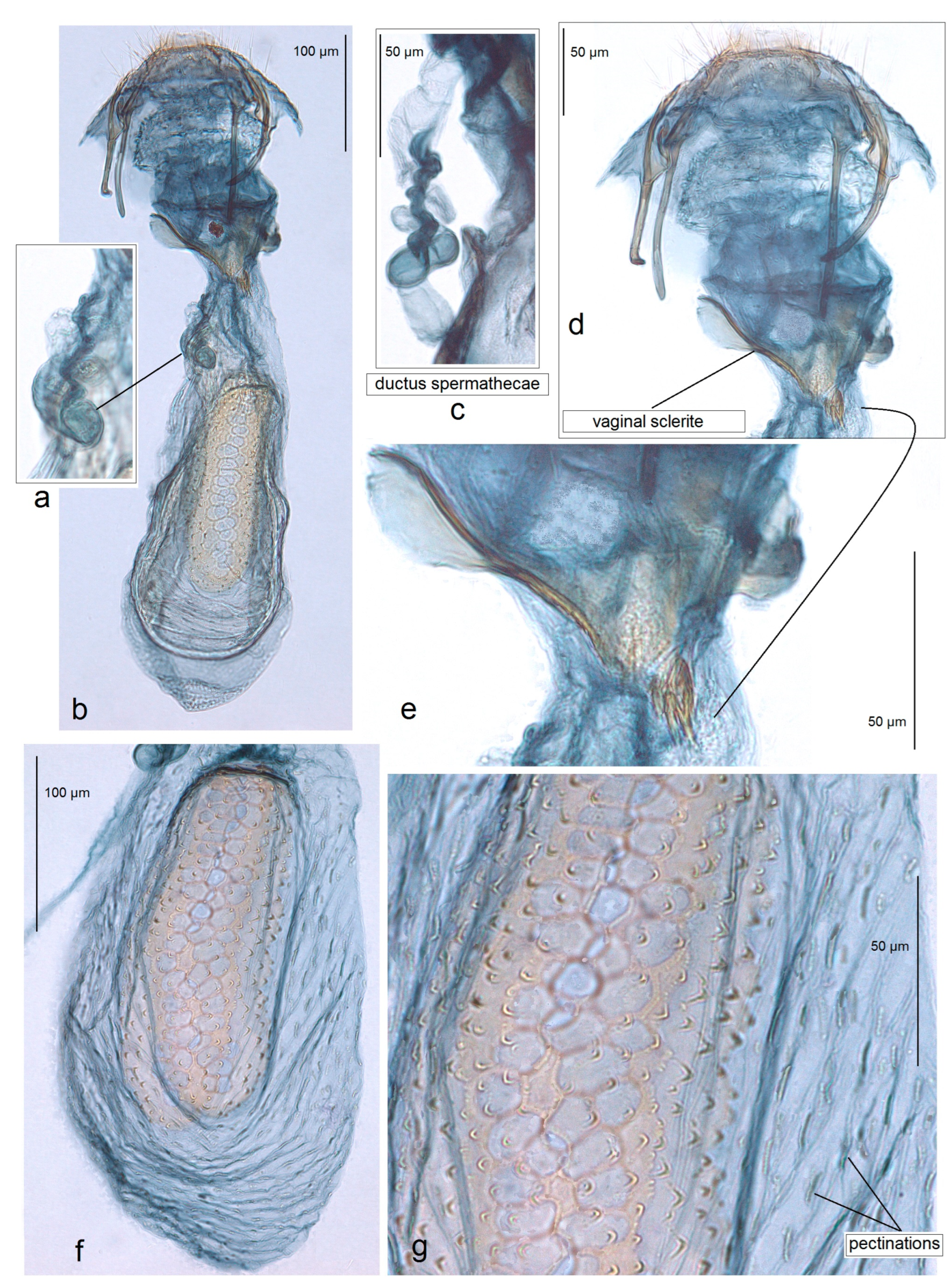 Insects 15 00641 g015