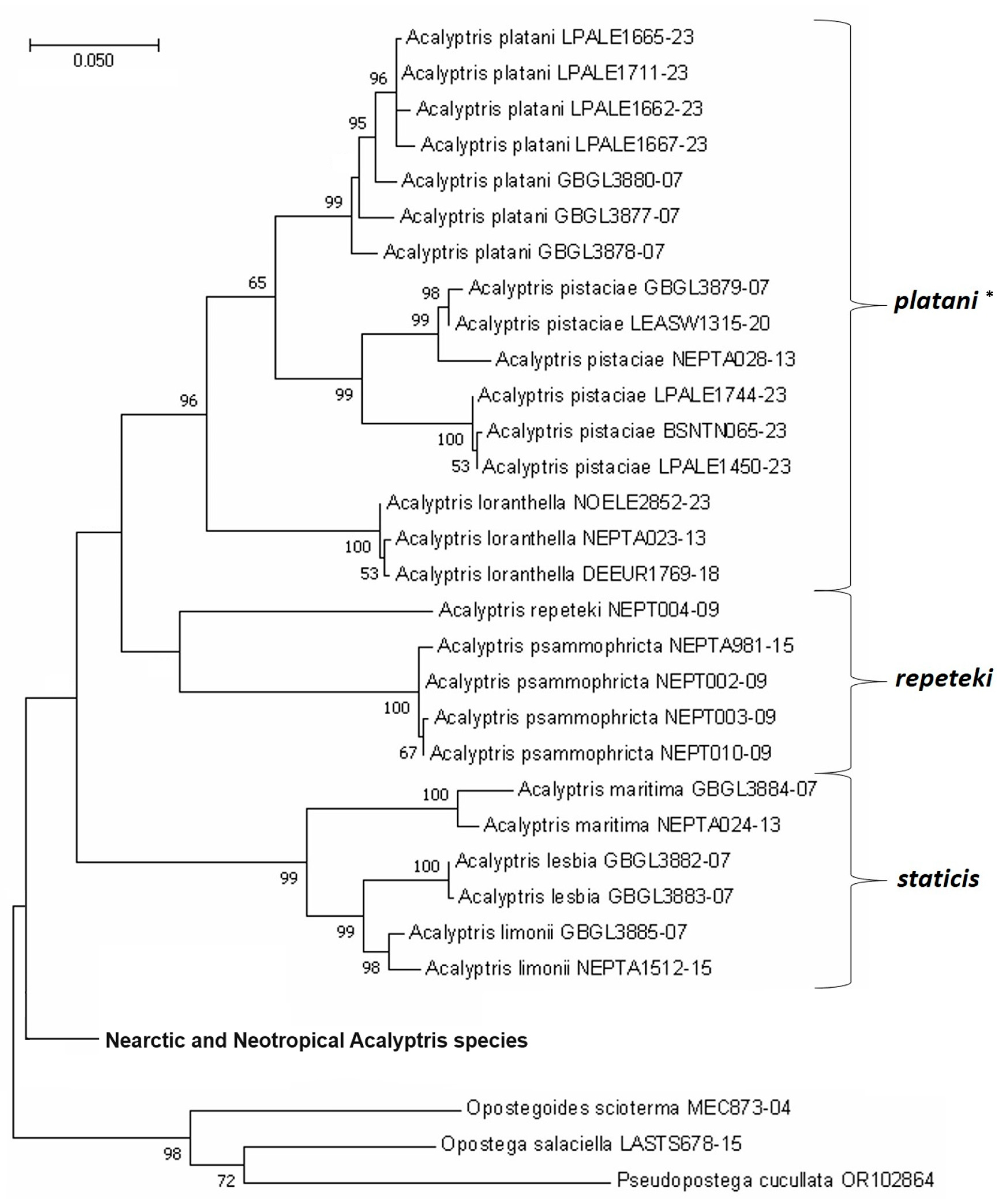 Insects 15 00641 g017