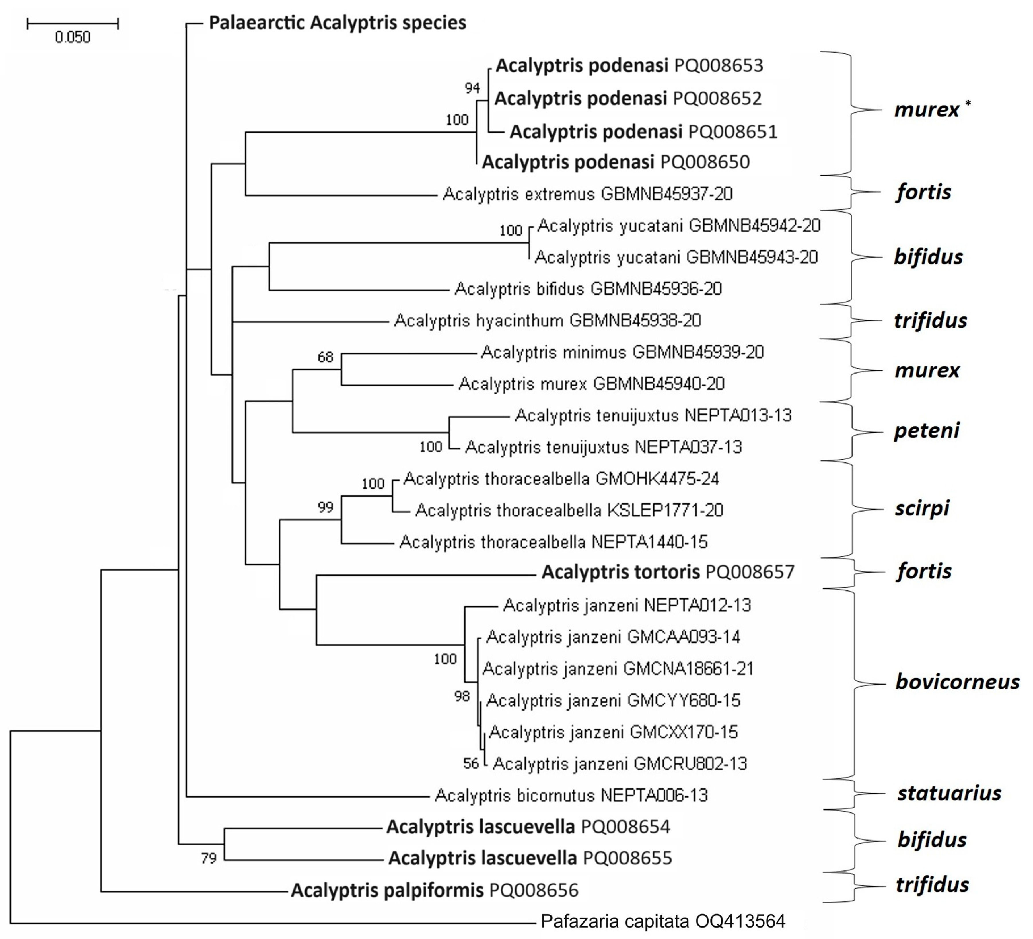 Insects 15 00641 g018
