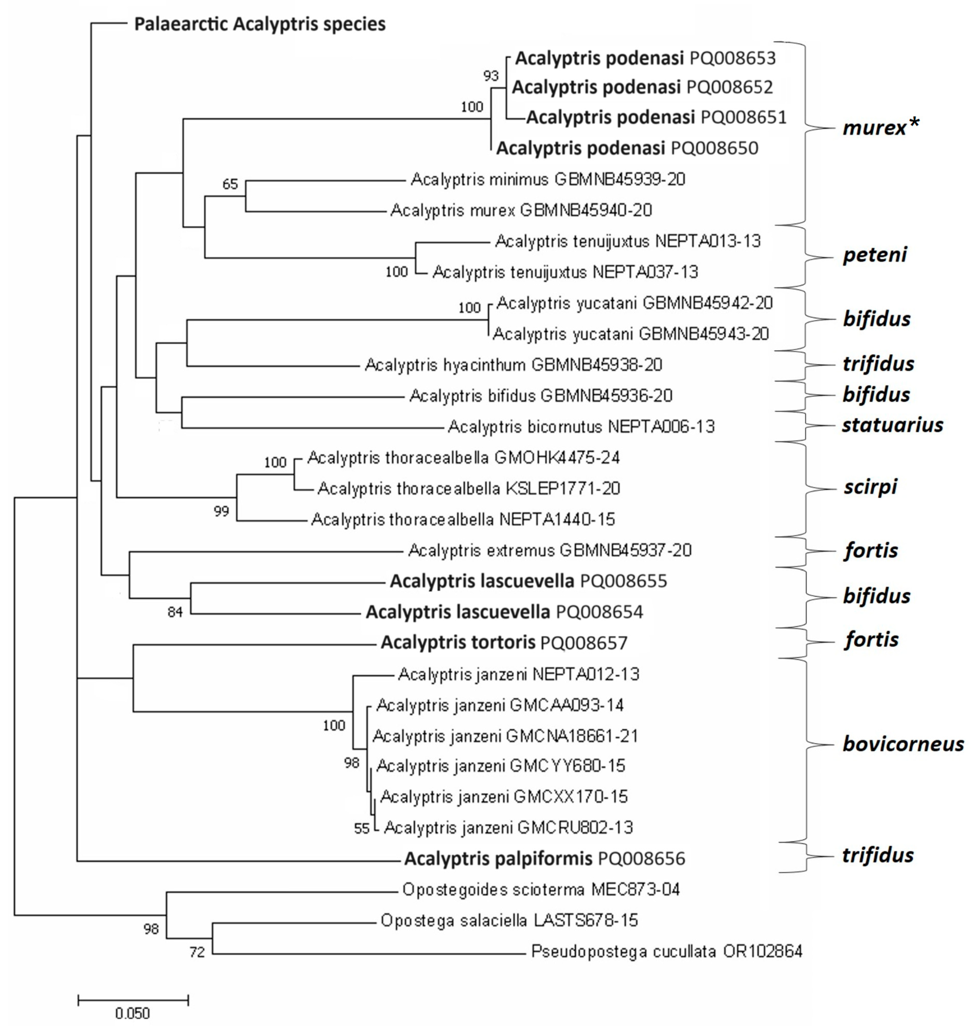 Insects 15 00641 g019