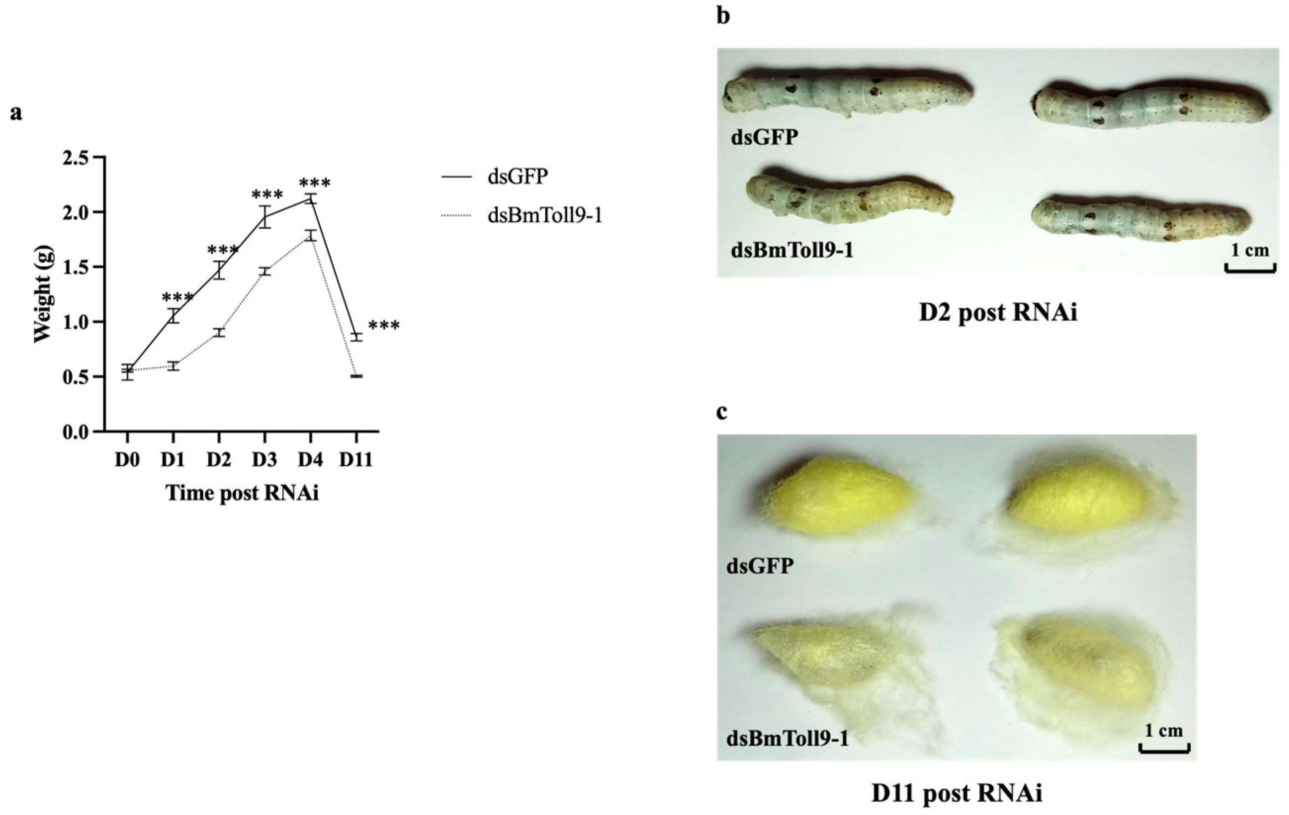 Insects 15 00643 g003