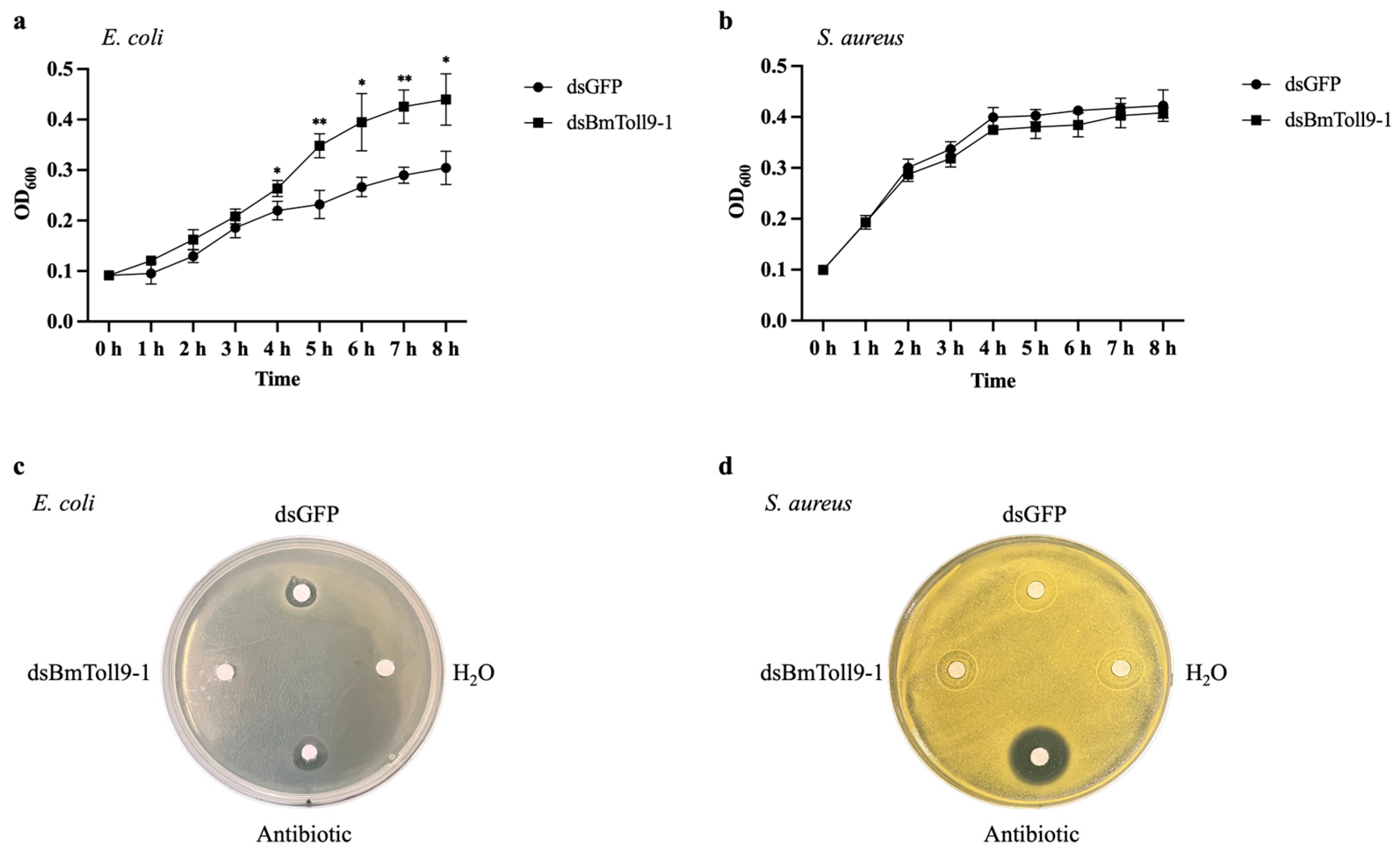 Insects 15 00643 g006