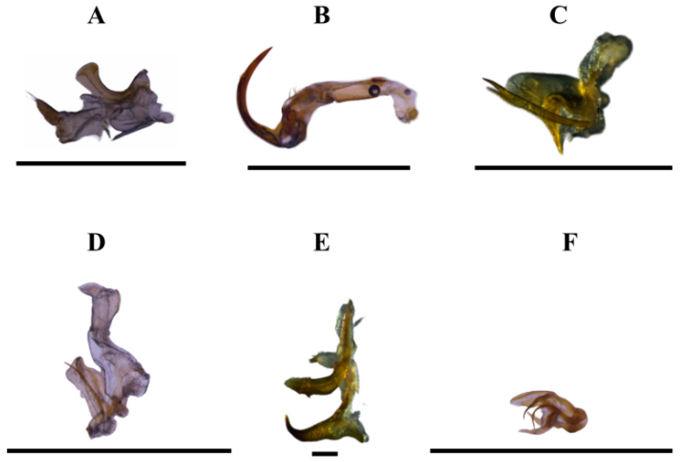 Insects 15 00649 g004