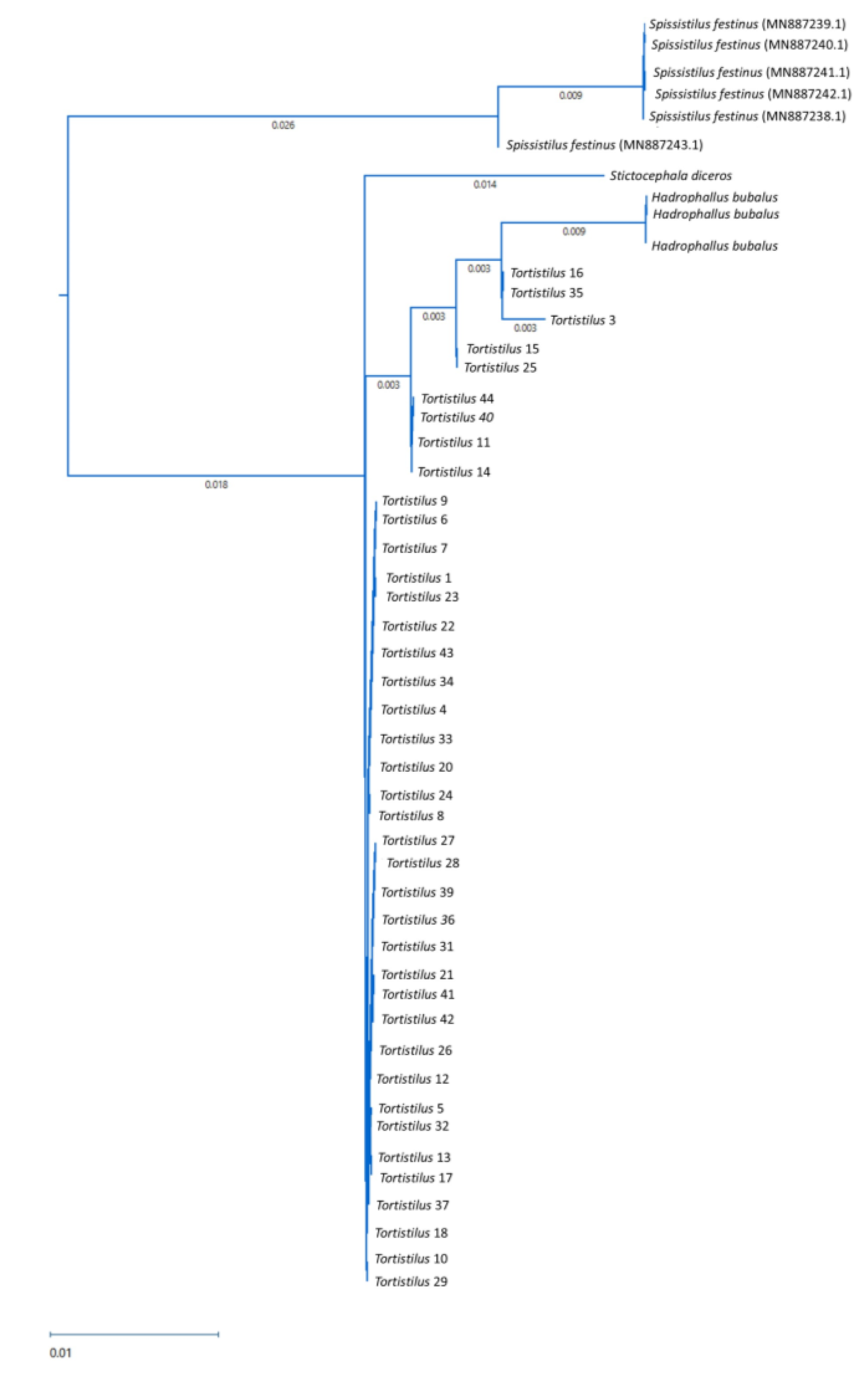 Insects 15 00664 g008 Insects 15 00664 g008