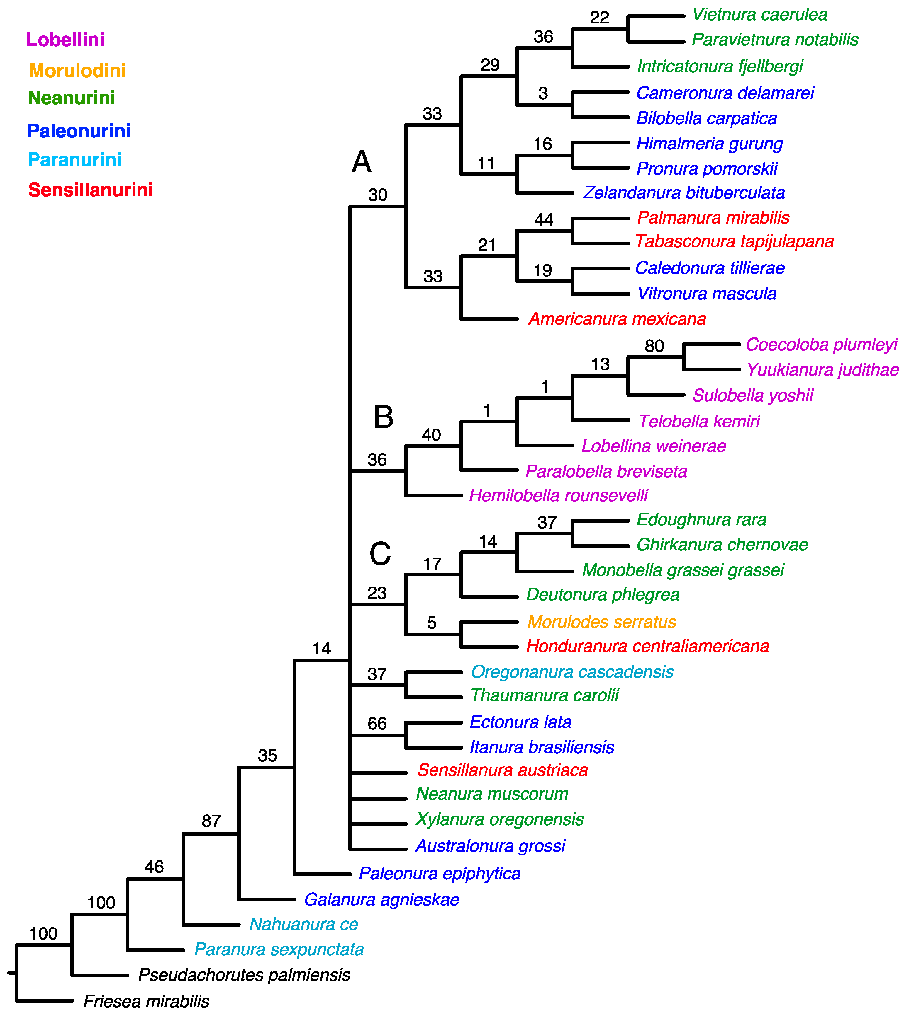 Insects 15 00672 g001