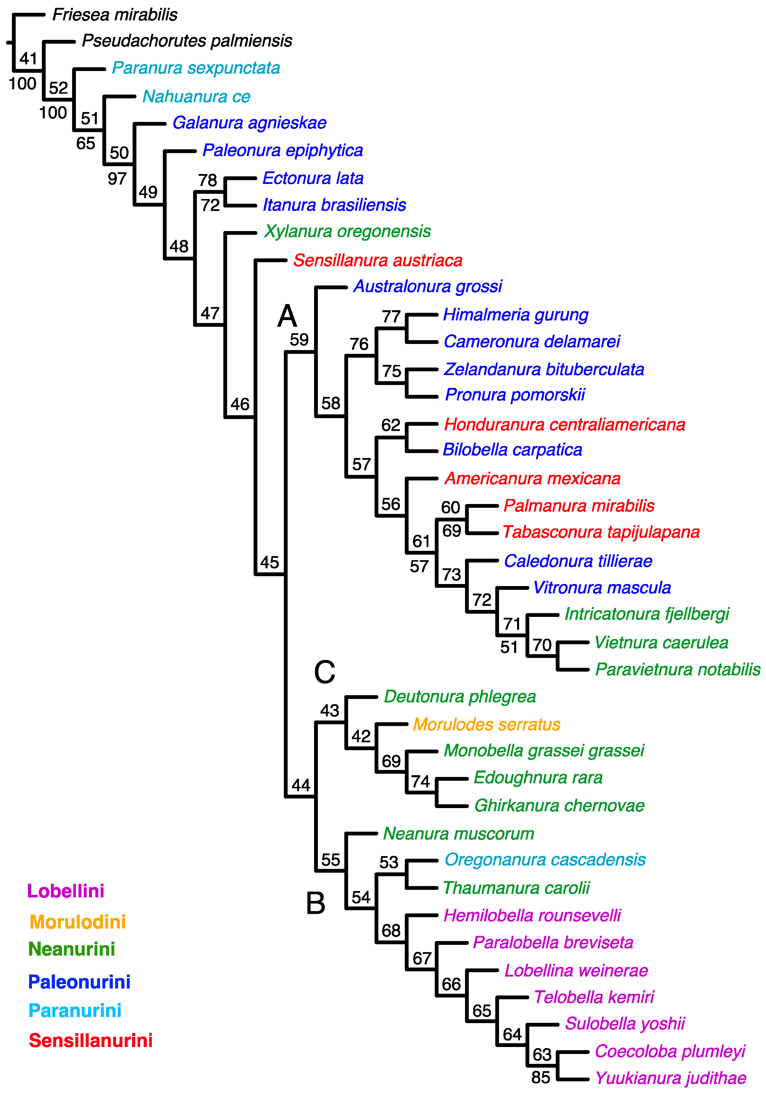 Insects 15 00672 g002