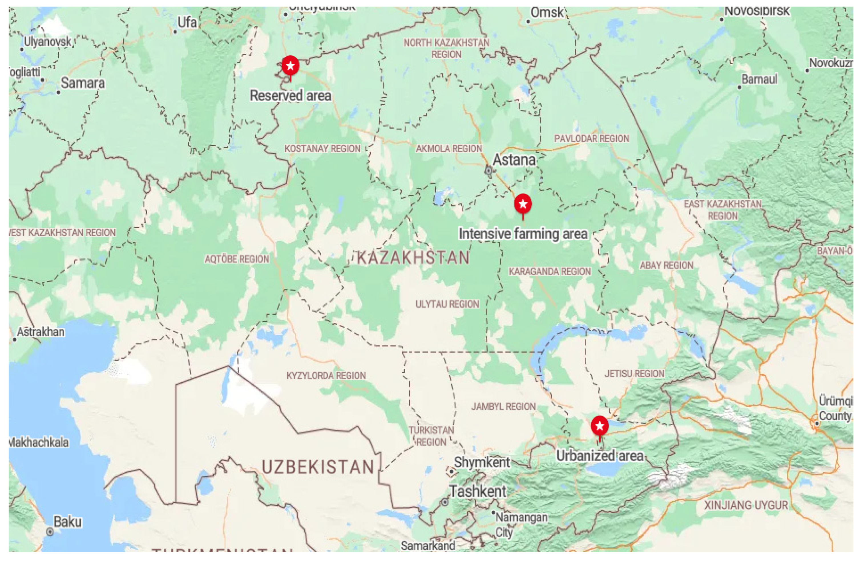 Insects 15 00674 g001