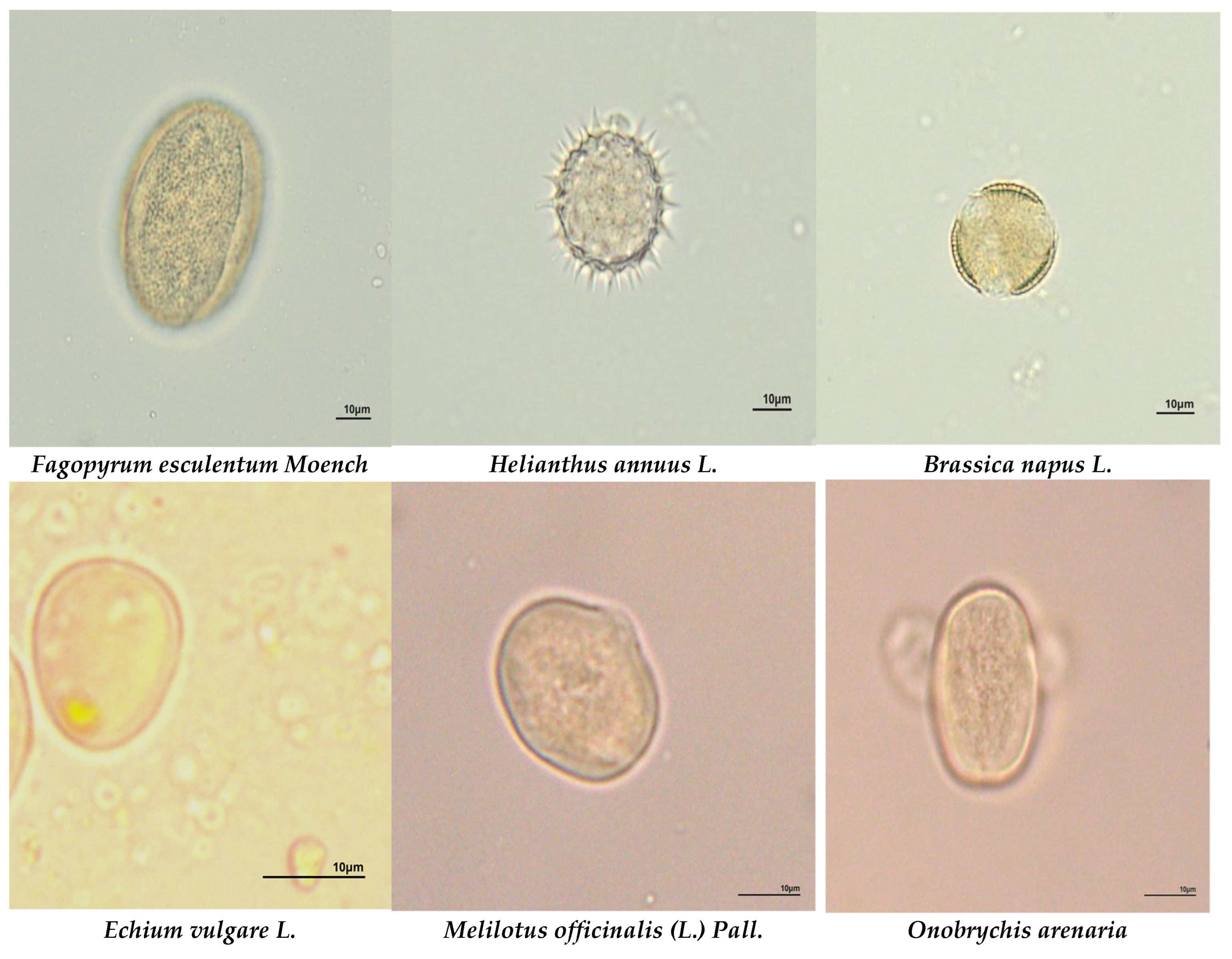 Insects 15 00674 g003