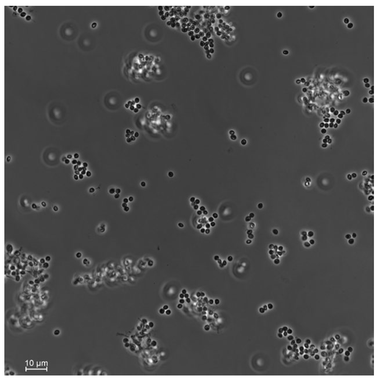 Insects 15 00697 g002