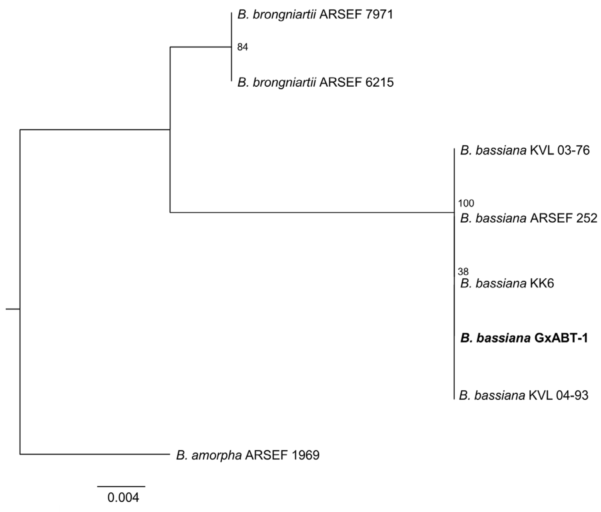 Insects 15 00697 g003