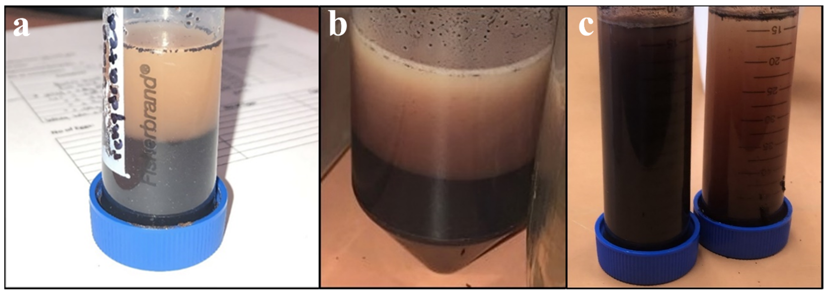 Insects 15 00716 g001