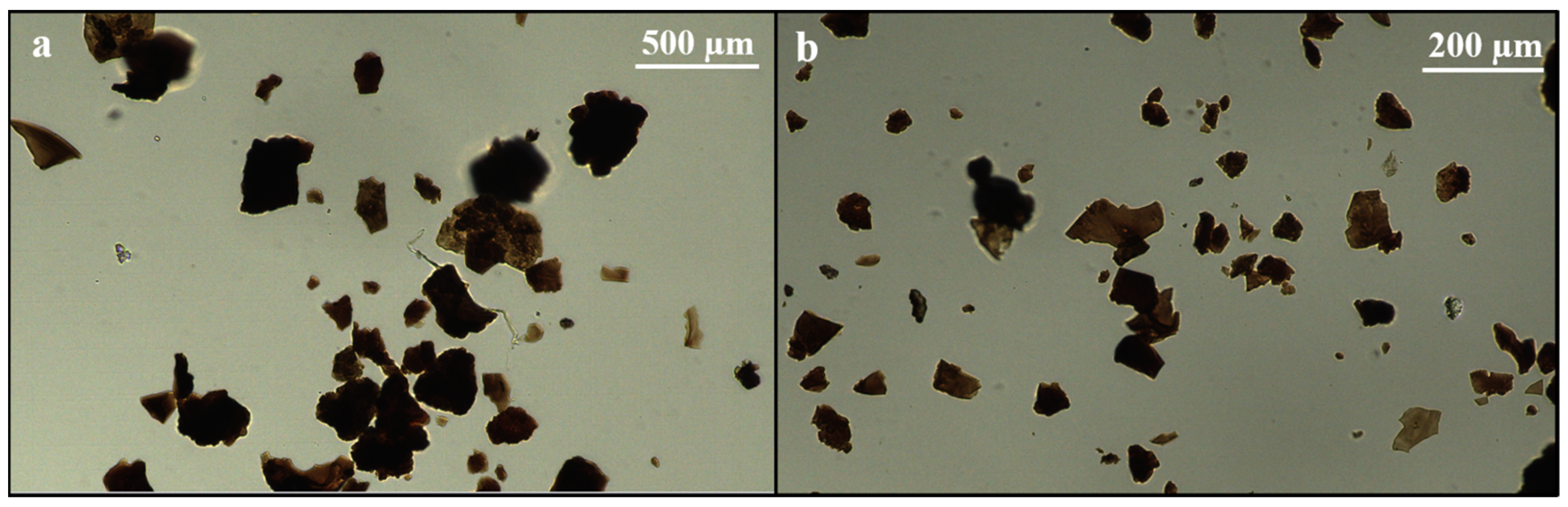 Insects 15 00716 g002