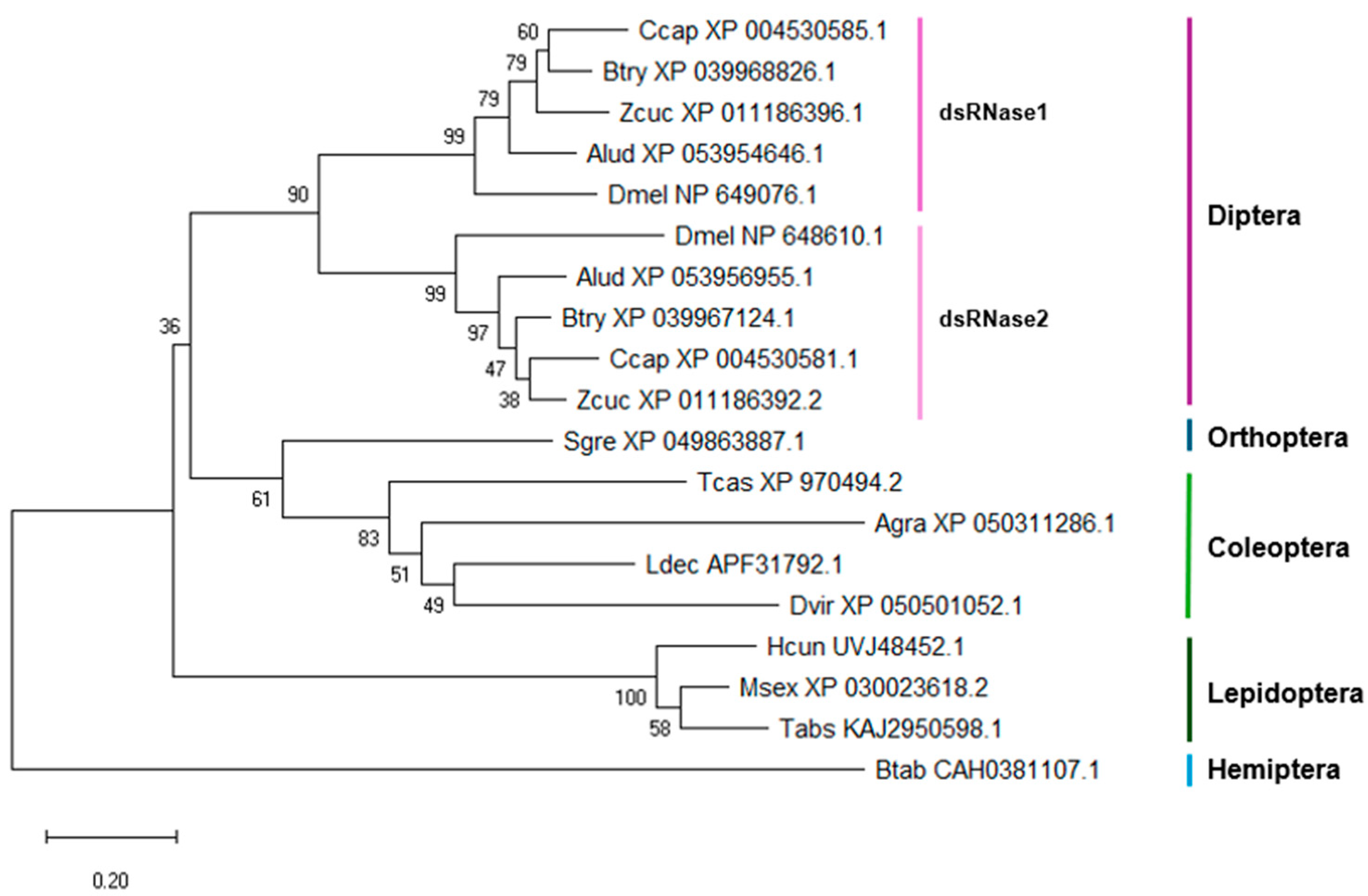 Insects 15 00717 g002
