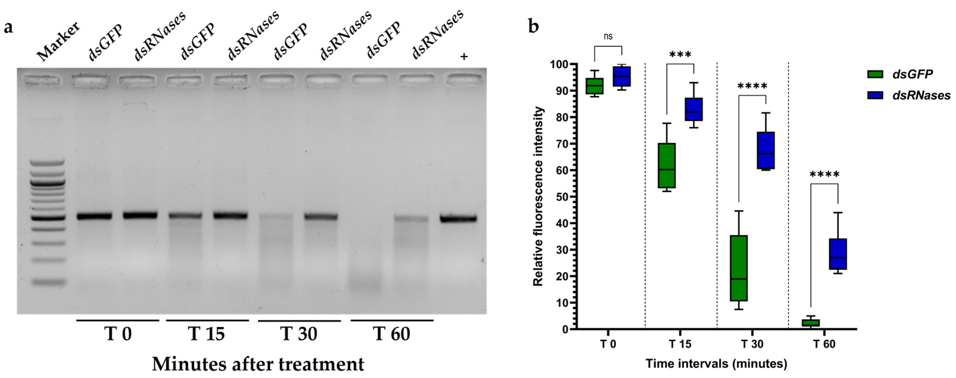 Insects 15 00717 g006