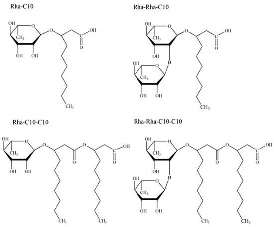 Insects 15 00720 g001