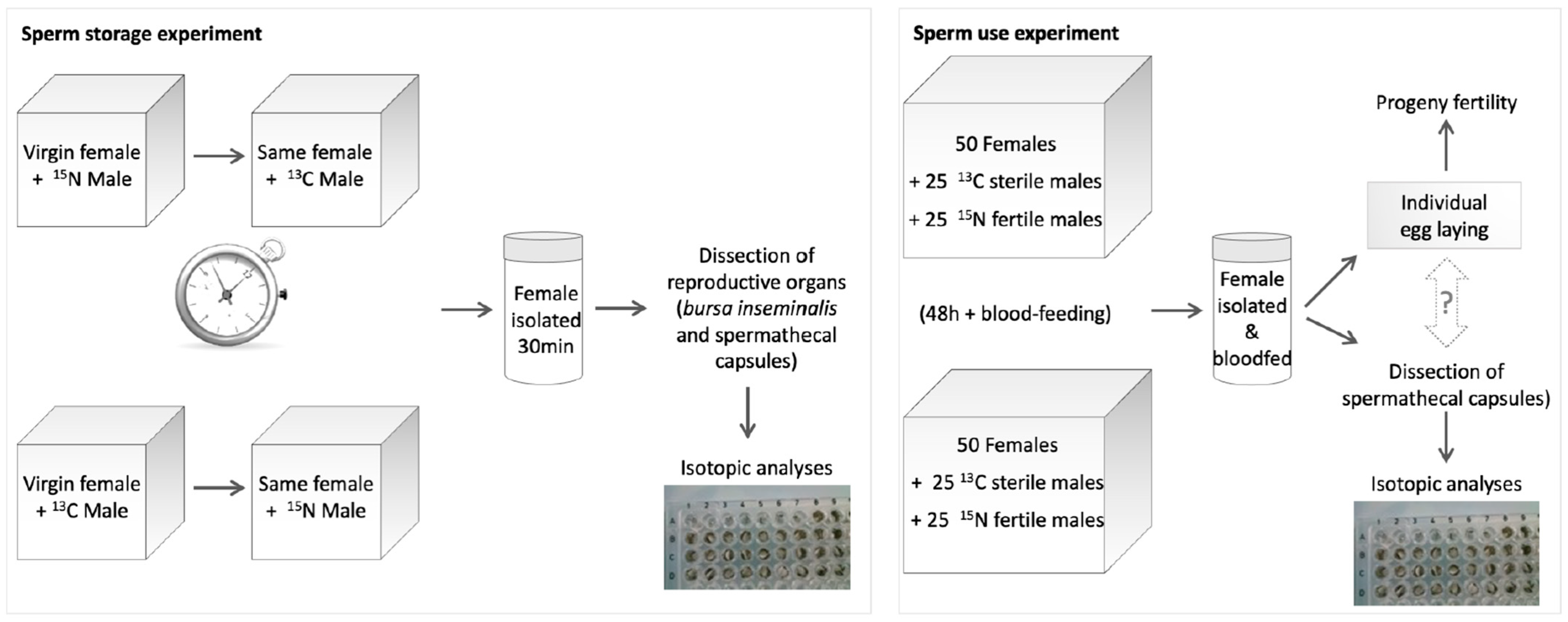 Insects 15 00721 g001