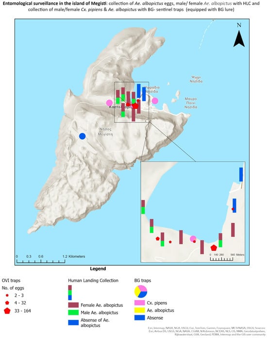 Insects 15 00724 g001