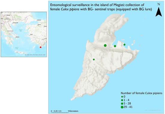 Insects 15 00724 g002