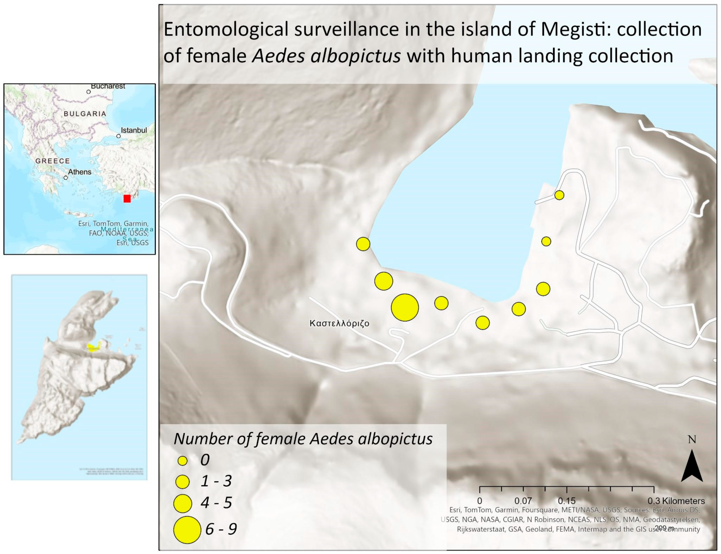 Insects 15 00724 g003