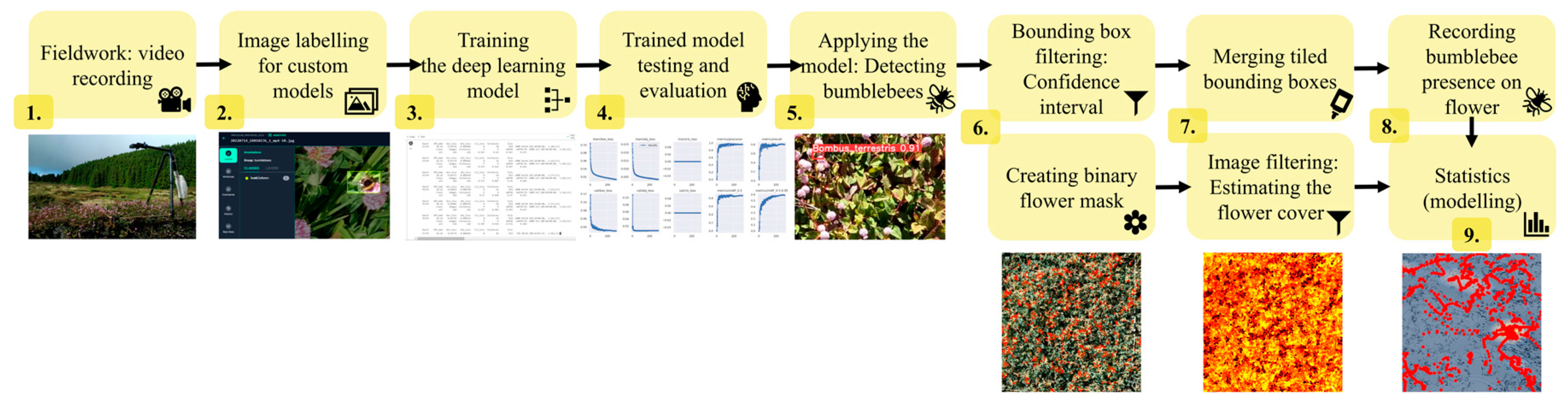Insects 15 00729 g001