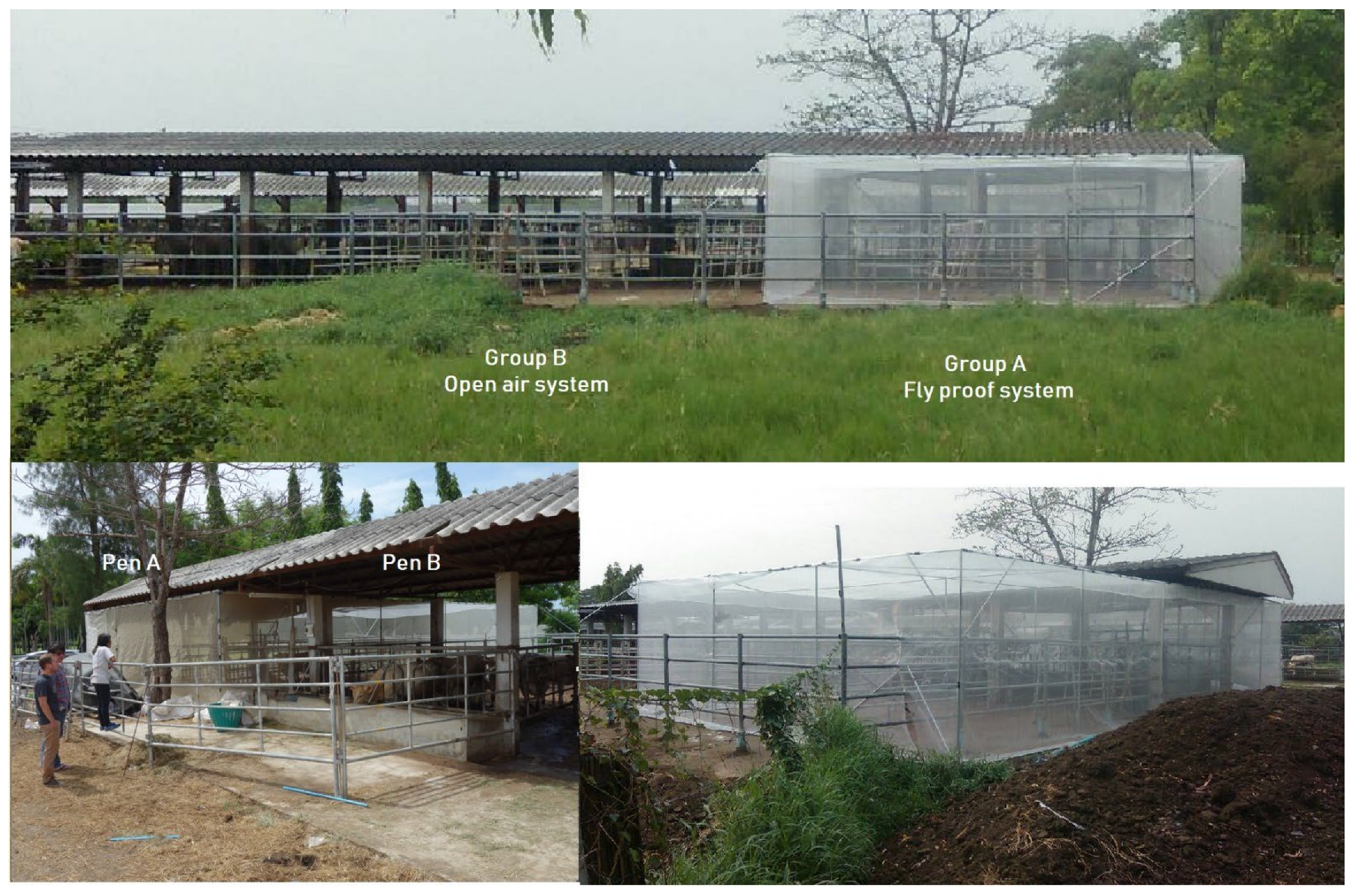 Insects 15 00735 g001