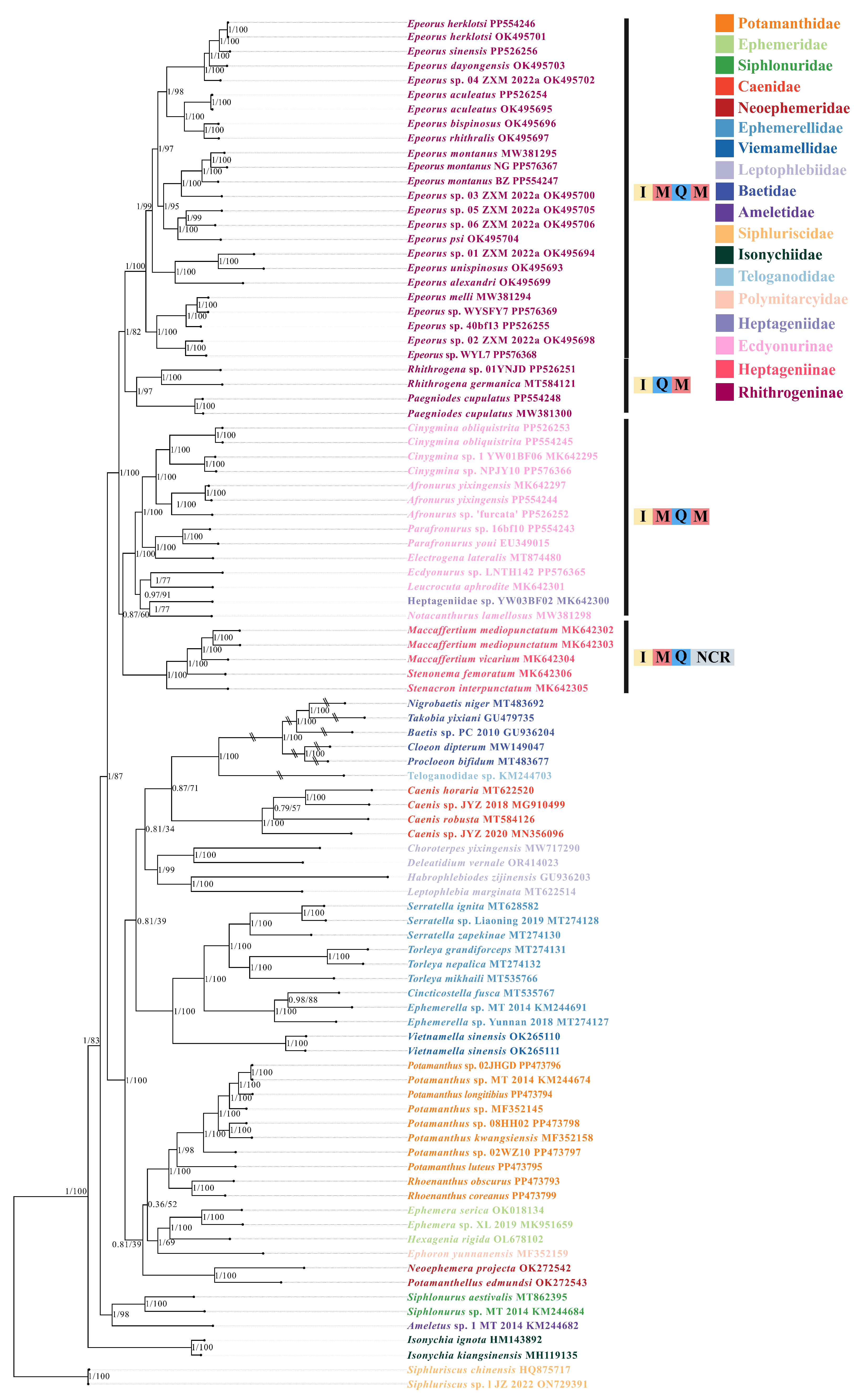Insects 15 00745 g005 Insects 15 00745 g005