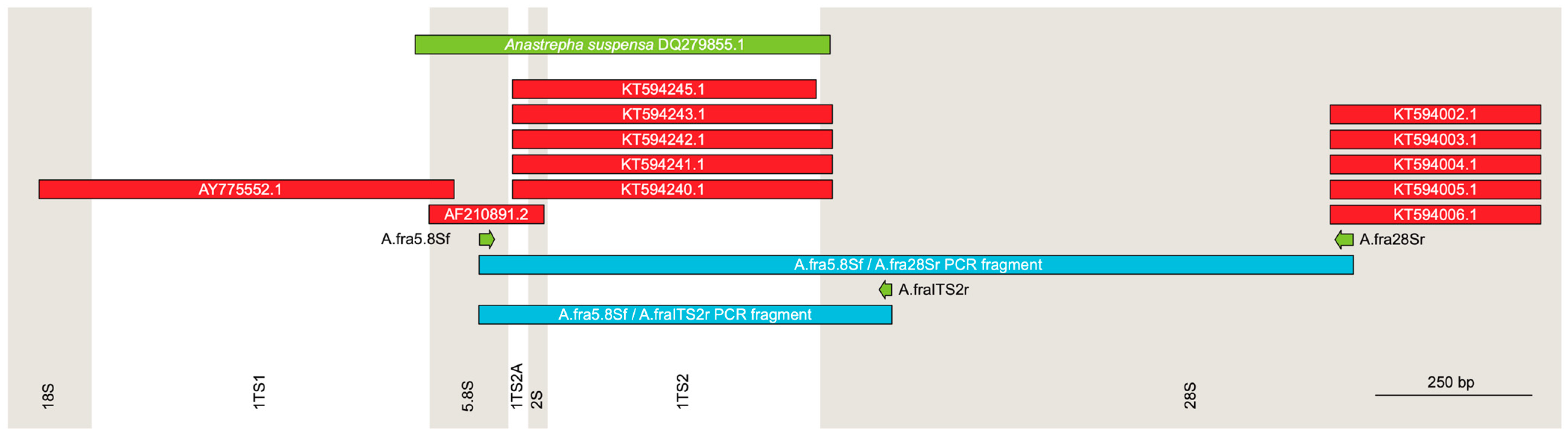 Insects 15 00748 g002