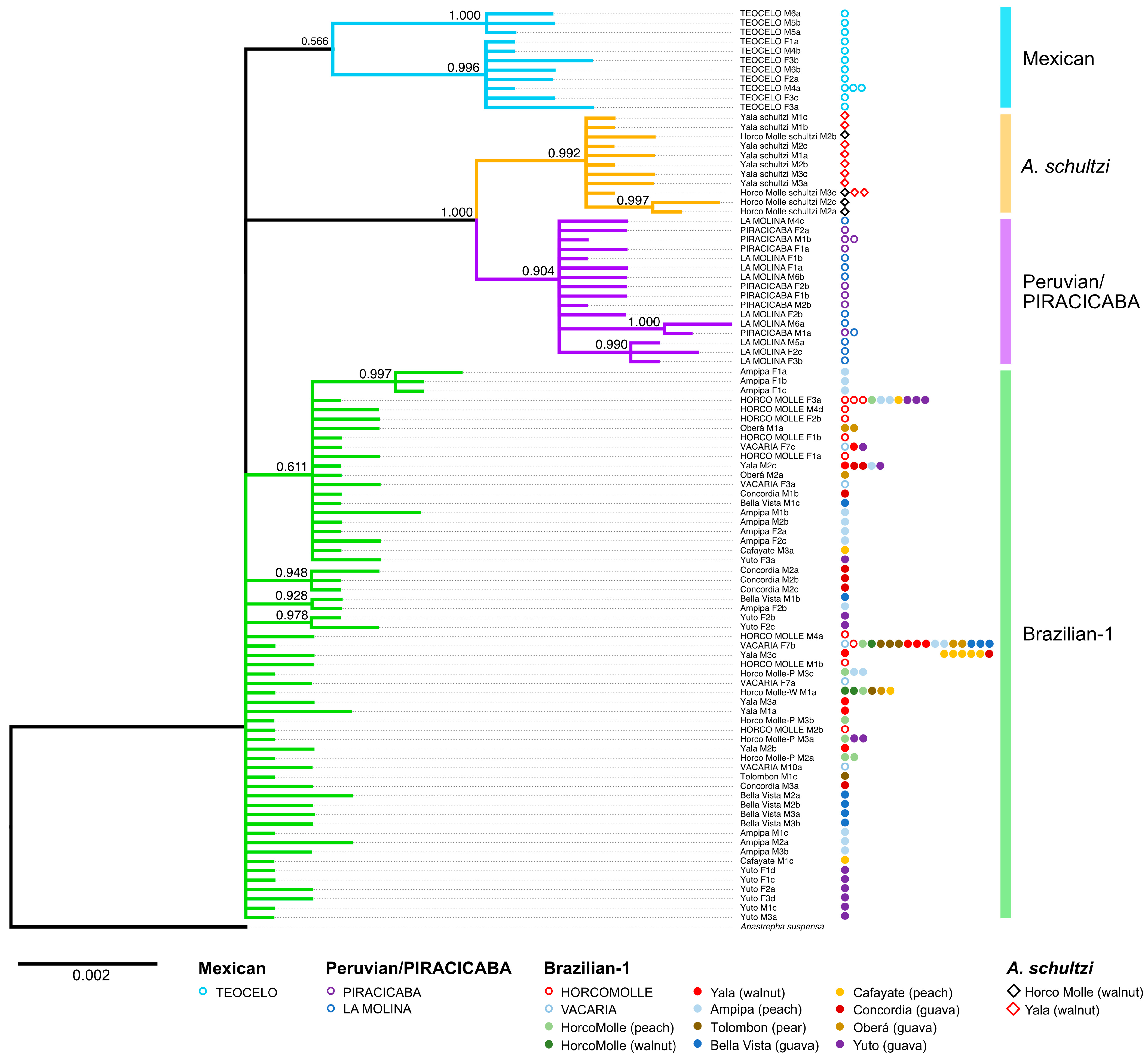 Insects 15 00748 g005