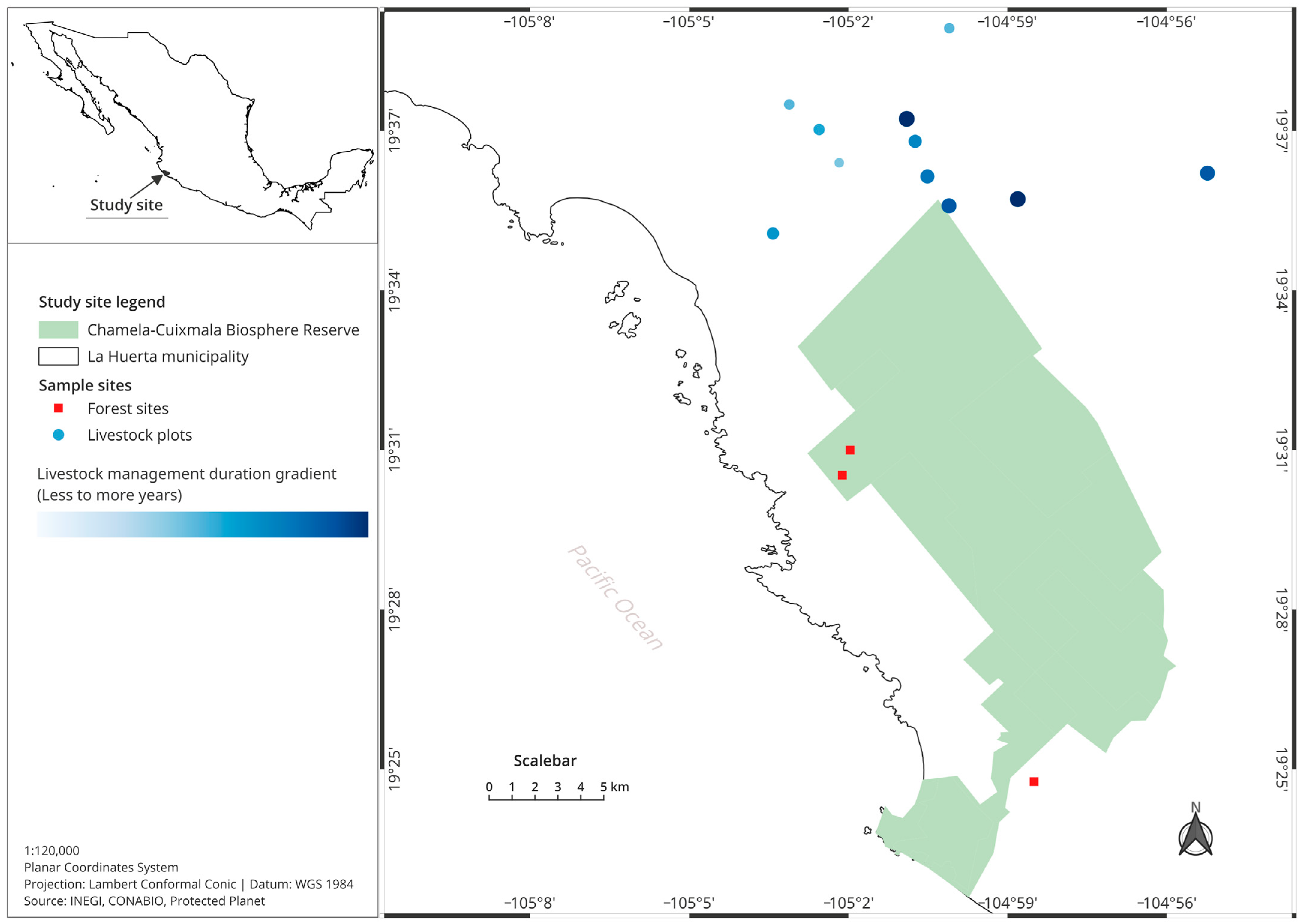 Insects 15 00749 g001