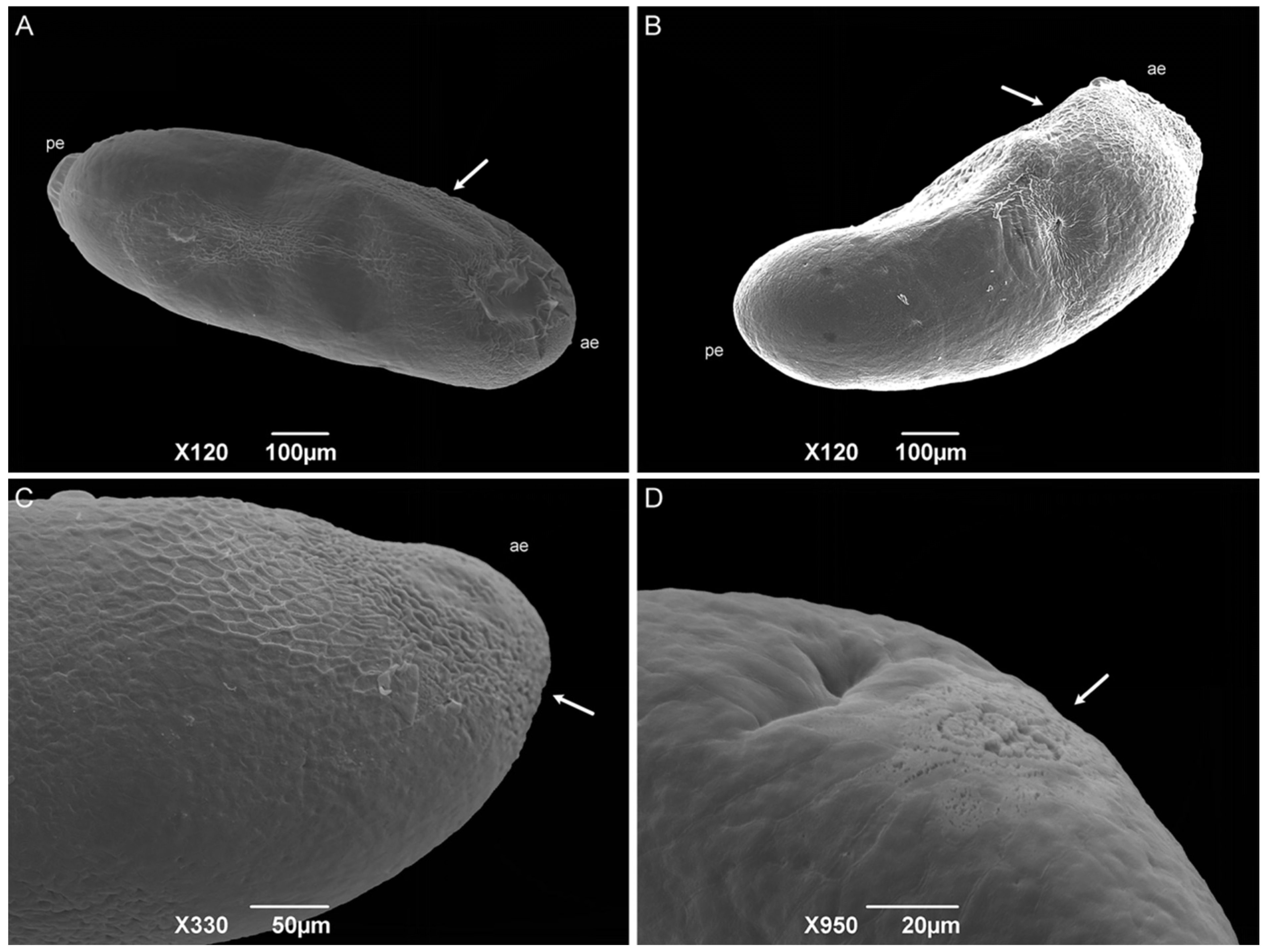 Insects 15 00753 g005