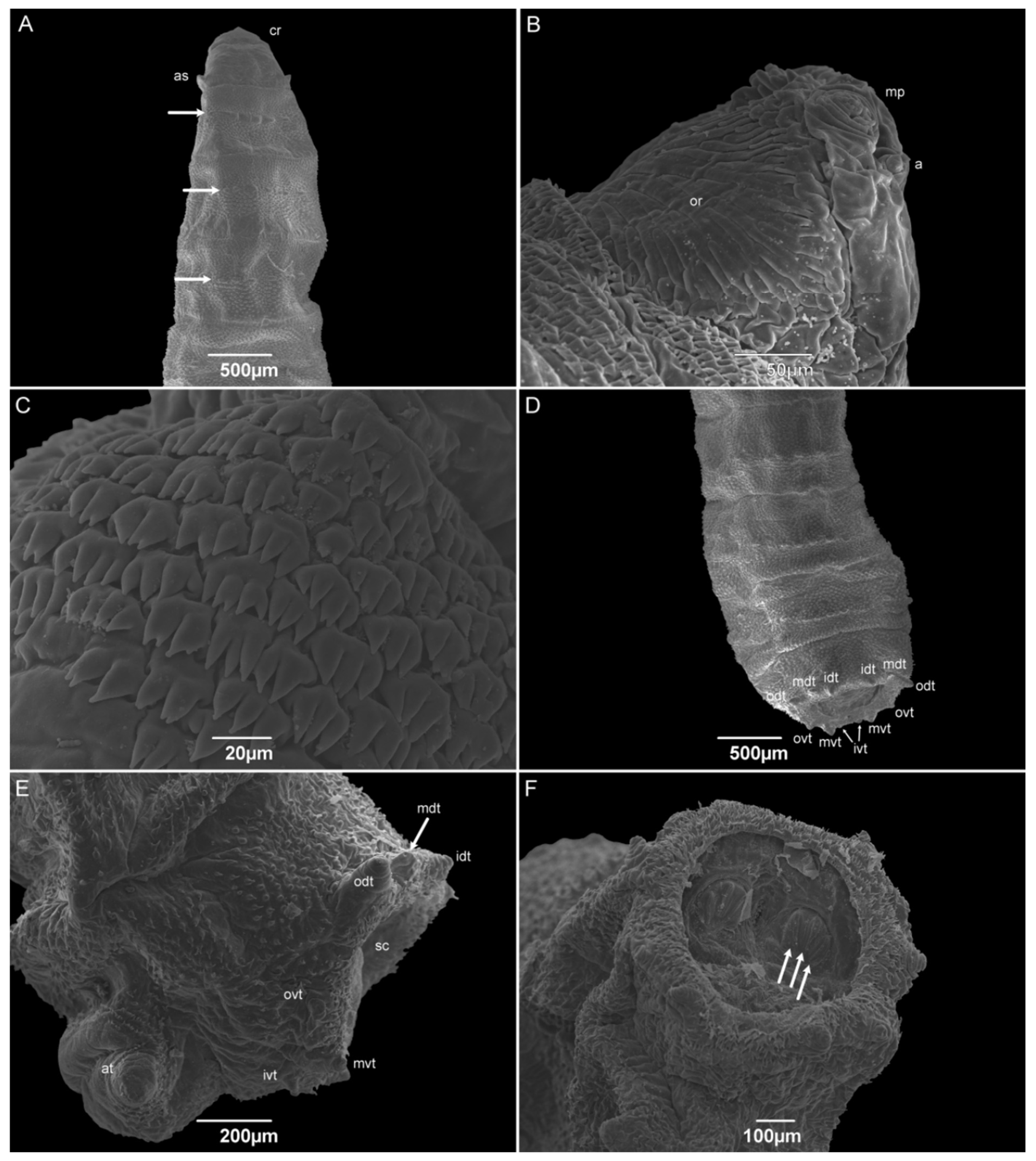 Insects 15 00753 g008