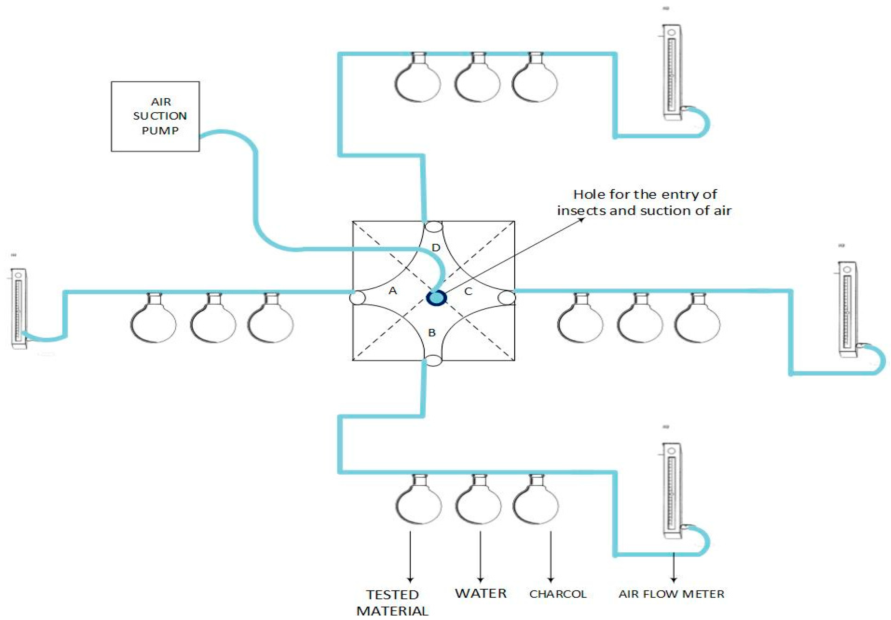 Insects 15 00755 g001