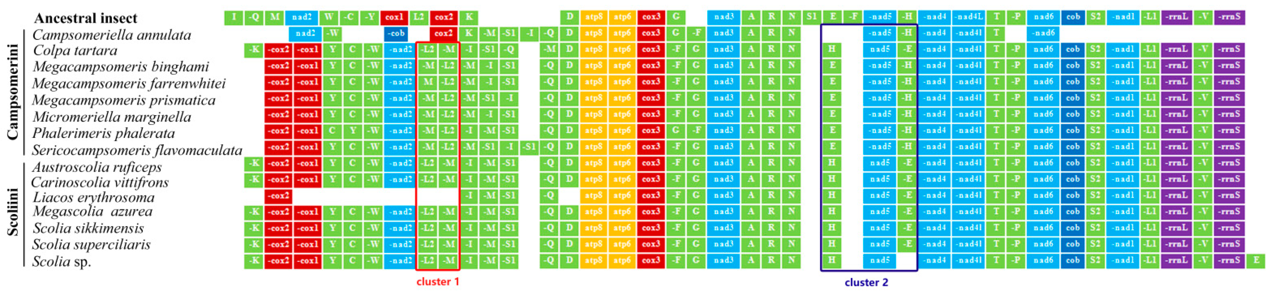 Insects 15 00758 g001