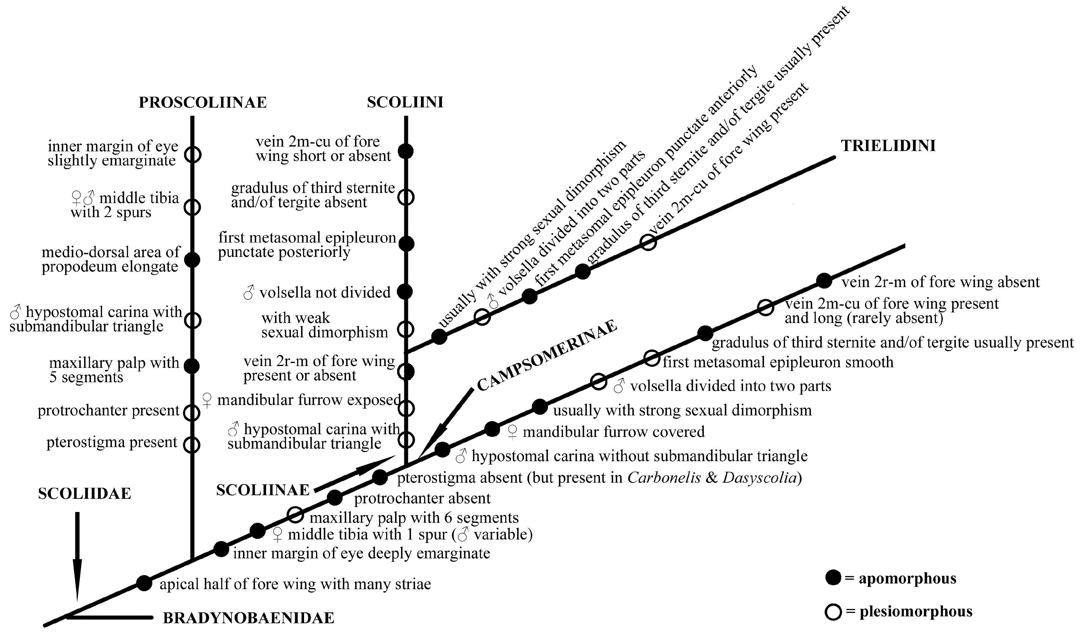 Insects 15 00758 g007