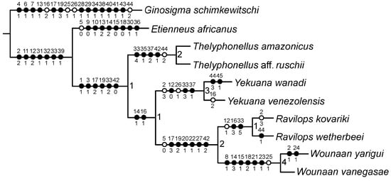 Insects 15 00761 g001