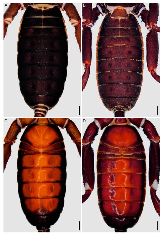 Insects 15 00761 g005