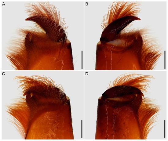 Insects 15 00761 g006