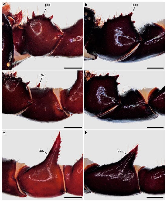 Insects 15 00761 g007