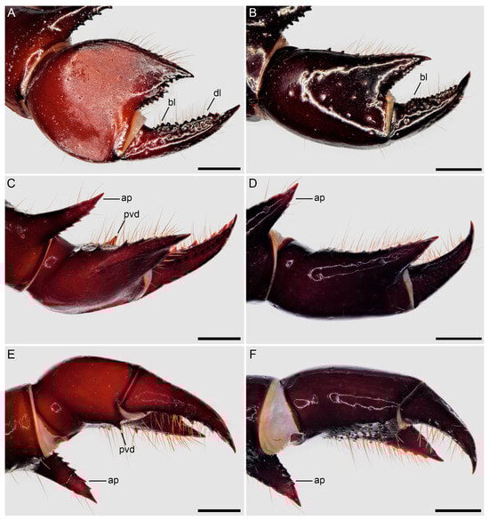 Insects 15 00761 g008