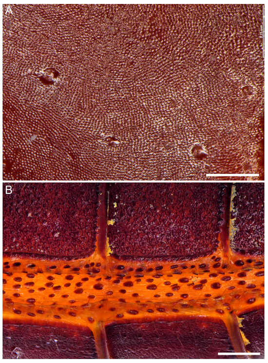 Insects 15 00761 g009
