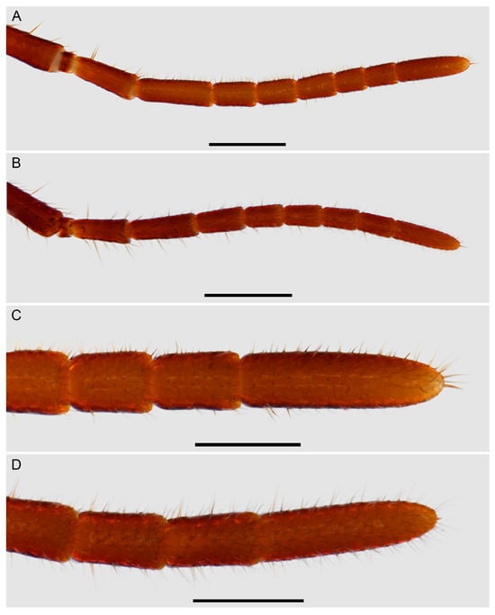 Insects 15 00761 g010