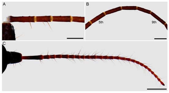 Insects 15 00761 g013