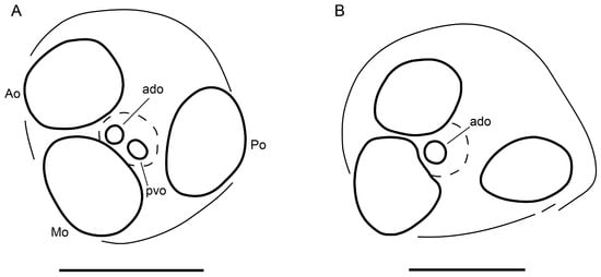 Insects 15 00761 g015