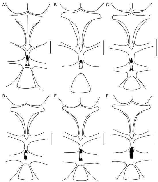 Insects 15 00761 g016